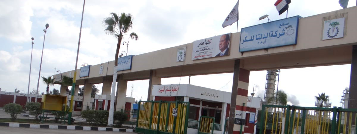 مصانع شركة الدلتا للسكر 